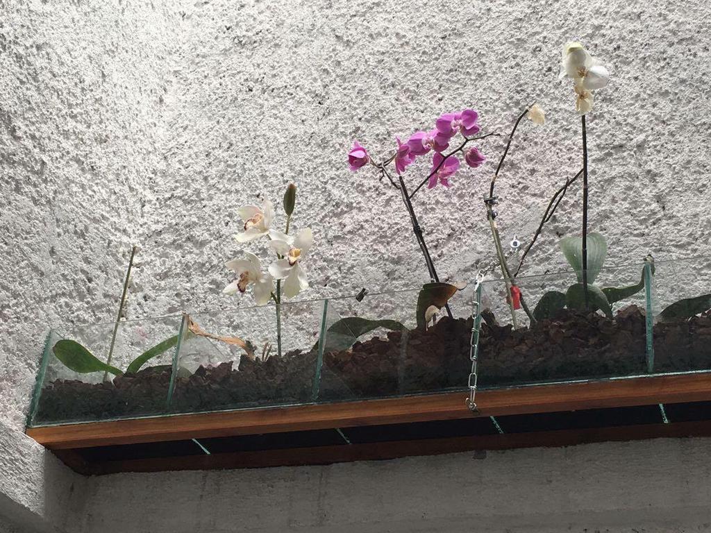 Hotel La Herradura Tecozautla Zewnętrze zdjęcie